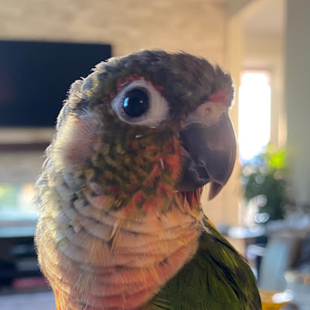 Meet your Posher, Zahra